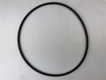 Series 2000/EcoPure Filter Lid O'ring