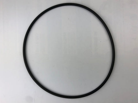 Series 2000/EcoPure Filter Lid O'ring